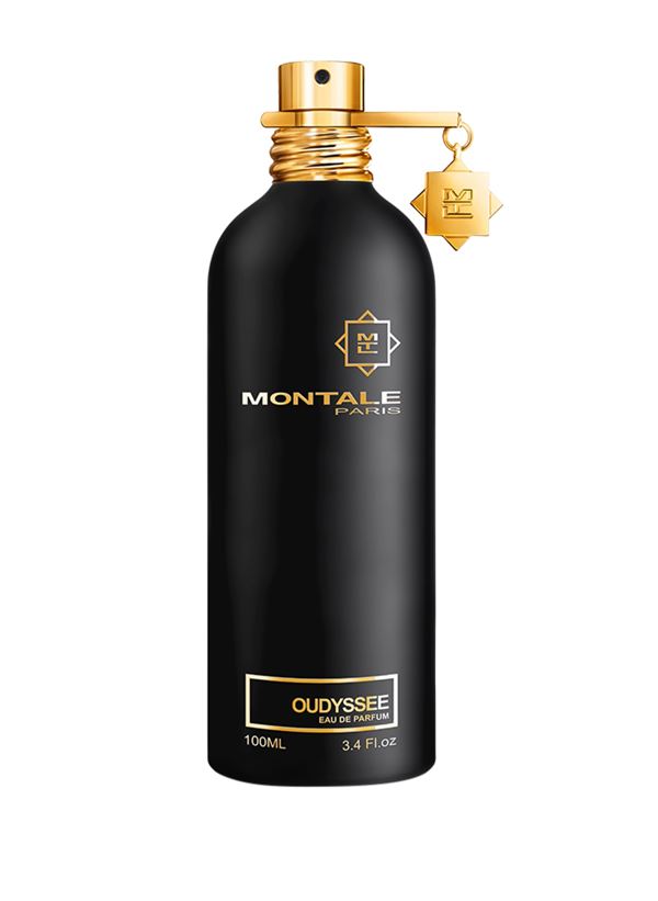 Montale Oudyssee - EDP 100 ml